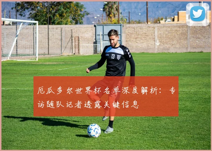 厄瓜多尔世界杯名单深度解析：专访随队记者透露关键信息