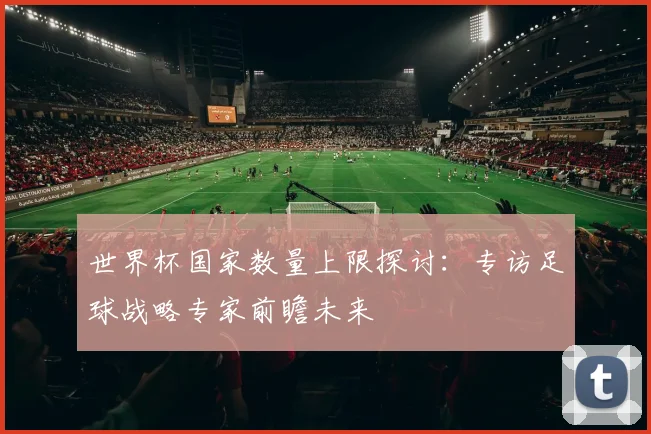 世界杯国家数量上限探讨:专访足球战略专家前瞻未来