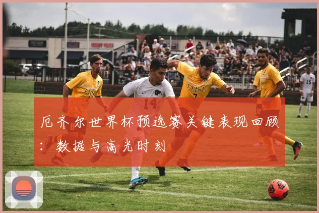 厄齐尔世界杯预选赛关键表现回顾：数据与高光时刻