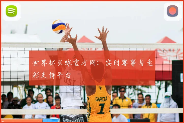 世界杯买球官方网：实时赛事与竞彩支持平台