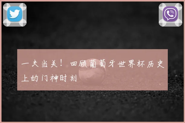 一夫当关!回顾葡萄牙世界杯历史上的门神时刻