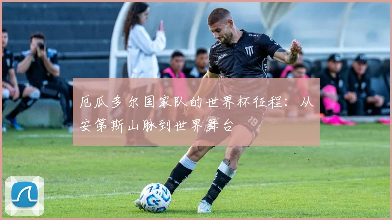 厄瓜多尔国家队的世界杯征程：从安第斯山脉到世界舞台
