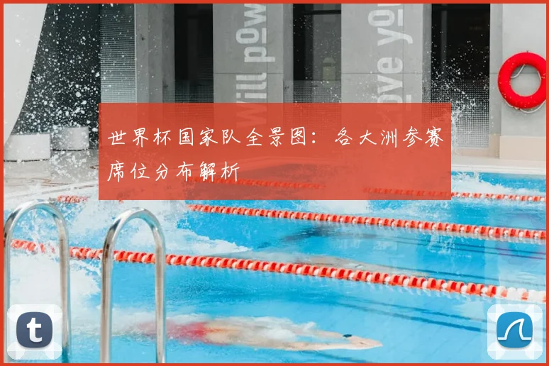 世界杯国家队全景图:各大洲参赛席位分布解析