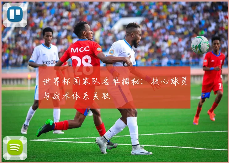 世界杯国家队名单揭秘:核心球员与战术体系关联
