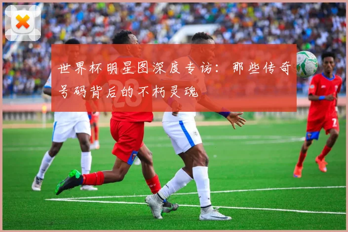 世界杯明星图深度专访:那些传奇号码背后的不朽灵魂
